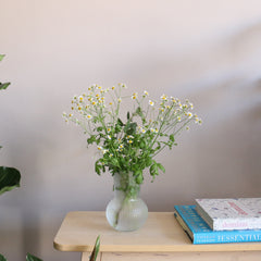 Petite Posy Subscription