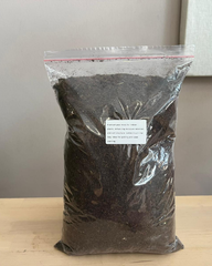 Peat Moss